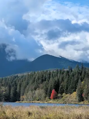 Across tall dry grass and a strip of blue water, a shoreline of dark evergreens holds one bright red tree, beneath a forested mountain and a sky heaped with white and gray clouds.