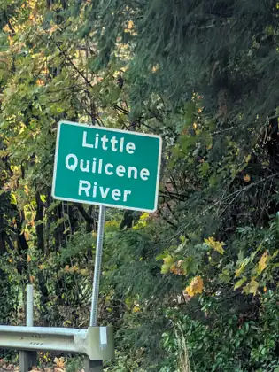 A green sign reading Little Quilcene River stands on a post above a metal guardrail, against a thick tangle of evergreen boughs and big yellowing leaves.
