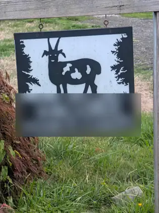A black metal sign hanging from a wooden crossbar shows the cut-out silhouette of a horned, spotted sheep between two evergreens, its lettering blurred, above long green grass.