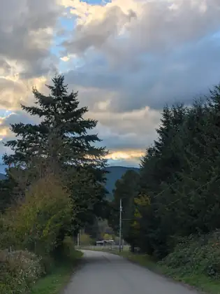A quiet paved lane curves between tall evergreens and shrubs toward a weathered barn, a fence and a mailbox in the distance, with a forested hill beyond under clouds lit gold by the low sun.