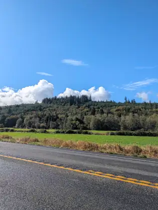 A two-lane road with a double yellow center line crosses the foreground beside dry golden grass and a bright green field, with a forested hill beyond under a blue sky with puffy white clouds.