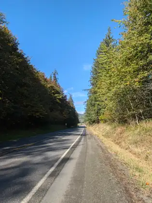 A two-lane highway with a wide paved shoulder runs straight ahead between steep, tree-covered banks, the right side in sunlight and the left in shade, toward a distant valley under a clear blue sky.