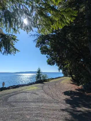A gravel lane curves along a rock-lined shore beneath overhanging trees, the sun glaring through the branches above sparkling blue water, with a young conifer on the bank and a small sign reading NO PARKING.