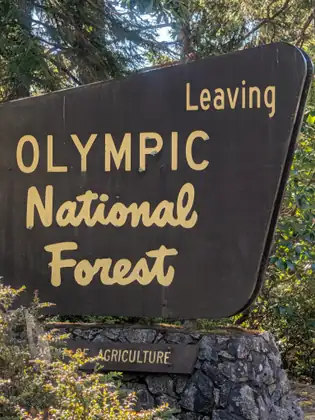 A brown sign with cream lettering reading Leaving OLYMPIC National Forest stands on a mossy stone base, above a smaller board partly hidden by sunlit shrubs that ends in the words OF AGRICULTURE.