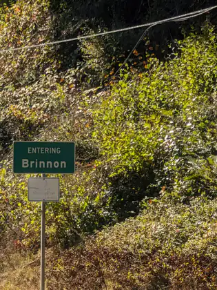 A green roadside sign reading ENTERING Brinnon, above a faded white sign reading Home of ShrimpFest, Memorial Day Weekend, stands on a post beside a steep, sunlit bank of shrubs under power lines.
