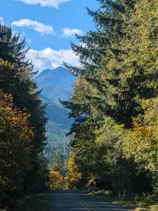 A quiet two-lane road with a double yellow center line runs between tall conifers and trees turning gold toward a steep, forested mountain peak under white clouds, past a yellow warning sign showing a truck on a slope.