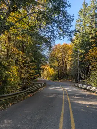 A two-lane road with a double yellow center line runs between metal guardrails and curves away under trees in bright gold and green autumn leaves, below a clear blue sky.
