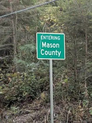 A green roadside sign reading “Entering Mason County” stands on a metal post among brambles, ferns and young evergreens, with a power line crossing above.
