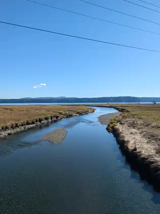 Seen from above, a river runs straight out between low banks of golden marsh grass toward open water and a line of forested hills, under power lines and a clear blue sky.