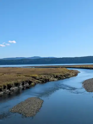 A river winds out through banks of golden marsh grass toward open water and forested hills, with a long gravel bar in the shallows in front and a small white cloud in the blue sky.