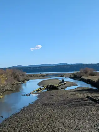 Driftwood lies in a shallow channel across a wide flat of gravel and mud where a river meets the bay, with shrubs turning autumn colours on the bank and forested hills across the water.