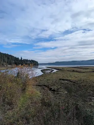 A river delta of marsh grass and shallow channels opens onto the bay, with a wooded point on the left and hills across the water under blue sky and white clouds.