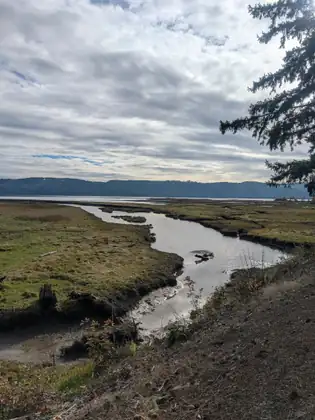 A winding tidal channel cuts through green and golden marsh toward the bay and a long line of forested hills under a cloudy sky.