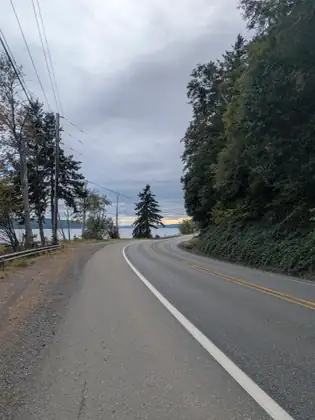 The highway curves left between a wooded hillside and a guardrail, with the bay and a tall evergreen ahead under an overcast sky.