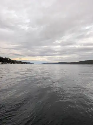 Grey, gently rippled water stretches to a long wooded shore under a soft overcast evening sky.