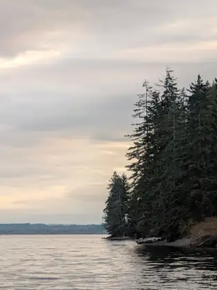A dark point of tall evergreens reaches into calm grey water under a pale evening sky with soft pink clouds.