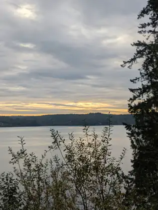 Morning light glows low over calm grey water and a long wooded shore beneath heavy clouds, with leafy shrubs and an evergreen in the foreground.