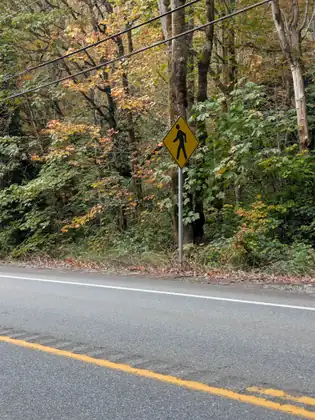 A yellow pedestrian warning sign stands at the edge of the highway against a hillside of trees in green and autumn gold.