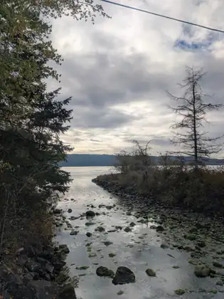 A small tidal inlet with mossy rocks and shallow water opens toward the bay between trees, with a lone bare snag on the far point under a cloudy sky.