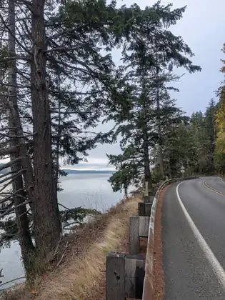 A narrow highway with a wooden guardrail curves along a steep bank above the water, beneath tall evergreens and a pale morning sky.