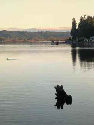 An old stump rises from still evening water near the shore, with houses, docks and wooded hills reflected along the far side under a pale sky.