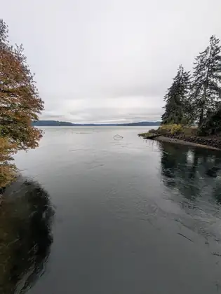 Calm dark water reflects the sky between a tree turning orange on the left and a wooded point on the right, with the bay opening beyond.