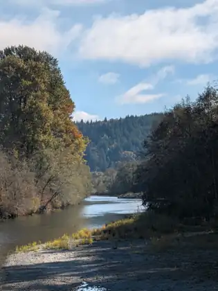 From the bridge, the river curves past a pale gravel bar toward wooded hills, with a tall tree in gold autumn leaves on the left.