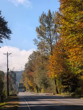 A straight highway runs between power poles and tall trees blazing orange and gold under a blue sky with white clouds.