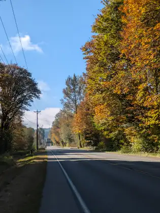Tall trees in orange and gold autumn colour line the right side of a quiet highway under a bright blue sky.