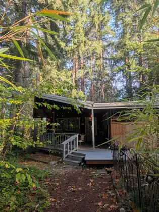 The little cottage in the woods where Jeana stayed: a low wooden cabin with a covered porch hung with string lights, a short flight of steps and a leaf-strewn path, under tall firs and fronds of bamboo.