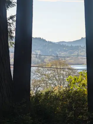 Between two tall, dark tree trunks the view opens over a lake and wooded hills in the afternoon light.