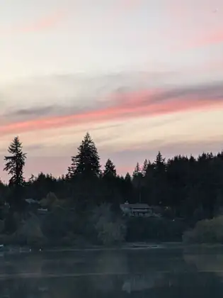 Streaks of pink cloud above a dark line of firs on the far shore of the lake at dusk.