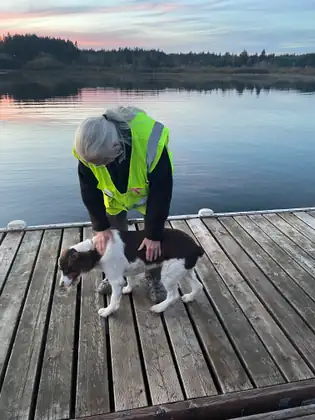 Jeana bends to pet Isabella, Lori’s brown and white dog, on the wooden dock by the lake.