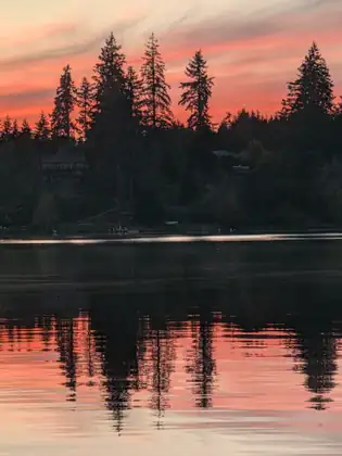 Fir trees in black silhouette against a vivid orange and pink sky, their reflections stretching across the lake.