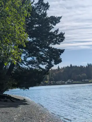 A big fir leans out over a pebbly beach, where small waves lap the shore and the water stretches away to a wooded far side.