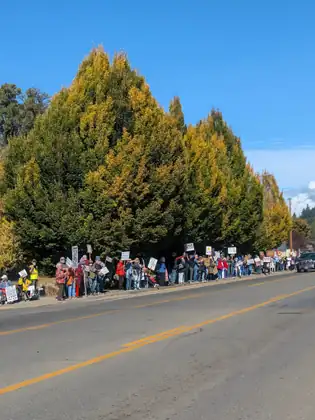 A long line of people at the rally stands along the roadside in Shelton beneath a row of tall trees turning gold, under a clear blue sky.