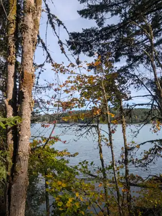 A lake glimpsed between tree trunks and autumn branches, with forested hills on the far side.
