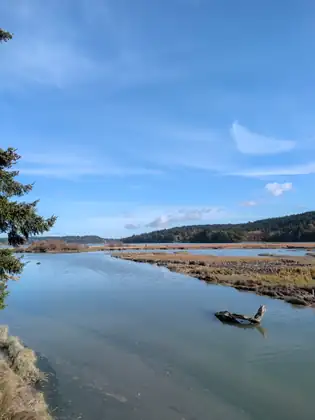A shallow channel winds through tidal flats past a stranded log under a wide blue sky.