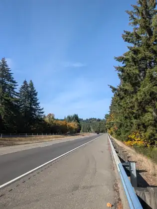 A two-lane highway with a wide shoulder and a guardrail runs between tall evergreens under a clear sky.