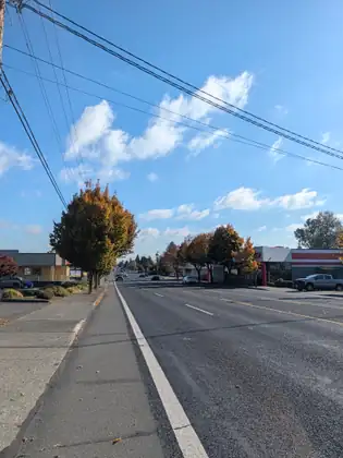 A sidewalk runs beside a wide street lined with autumn trees, under a blue sky with puffy white clouds.