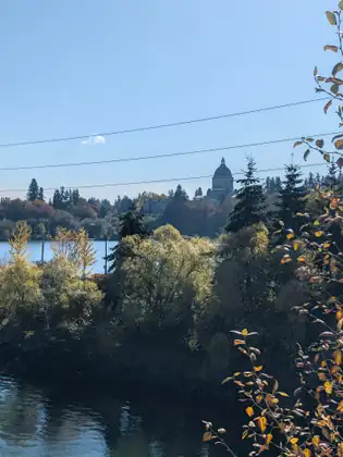 The Capitol dome rises in the distance beyond the water and leafy trees.