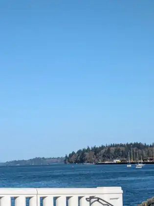 Blue water stretches to a wooded shore and a marina under a clear sky.