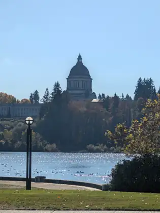 The Capitol dome rises above the trees across Capitol Lake, with a lamppost and a lawn in front and waterbirds on the water.
