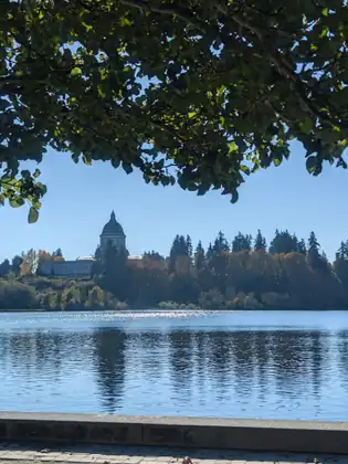 The Capitol dome appears across the still lake, framed by overhanging leaves.