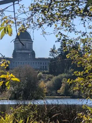 The Capitol dome and its columns seen through branches and autumn leaves.