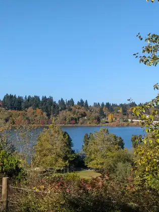 The lake and its wooded shores seen from a hillside path through autumn trees.