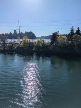 The Washington State Capitol dome rises beyond the blue water of Capitol Lake.