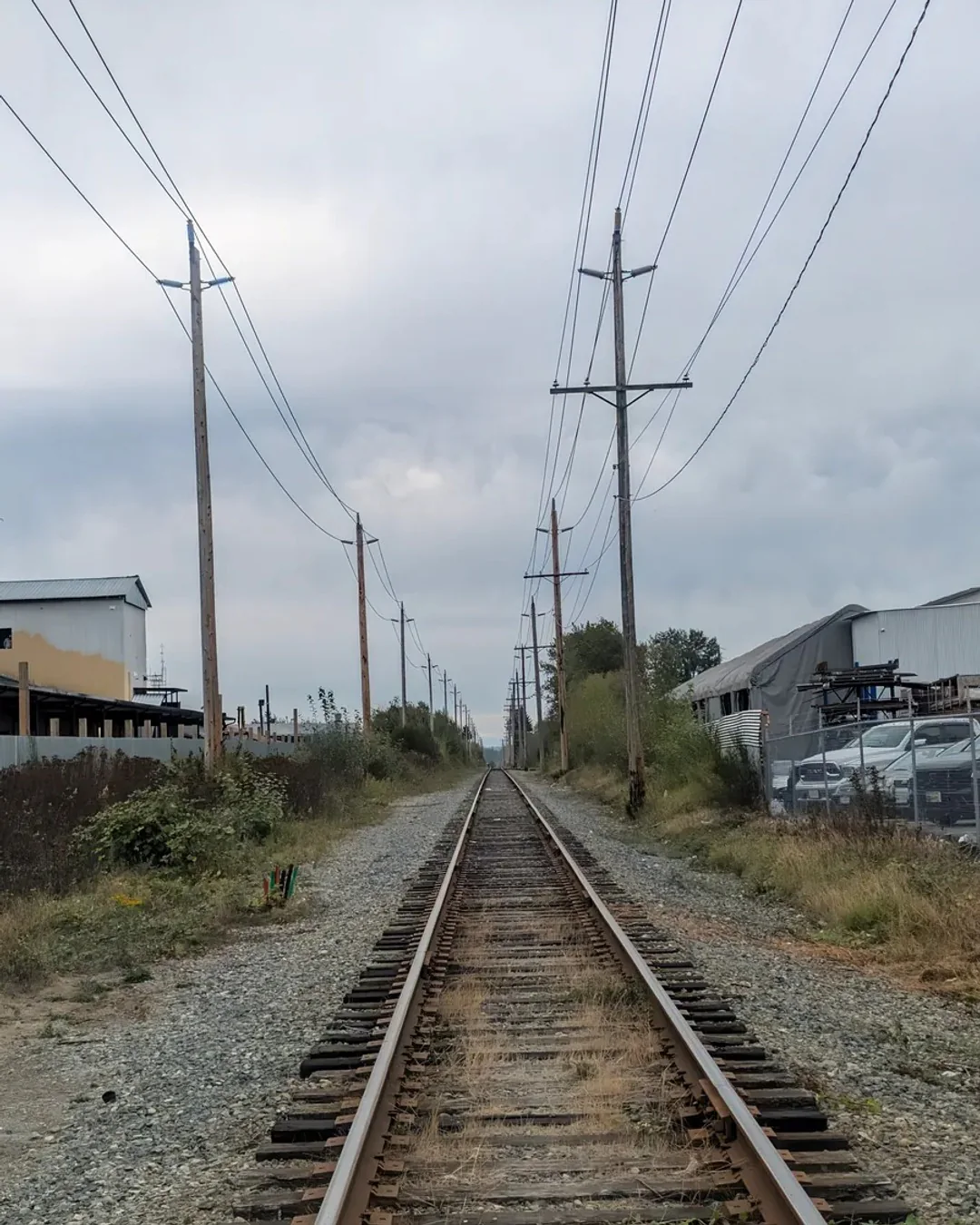 A single railway track running straight ahead through Surrey between gravel shoulders and wooden power poles.